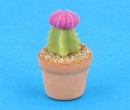 Sm8015 - Cactus