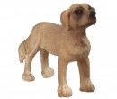 Tc1551 - Cane