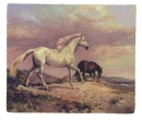 Tc0819 - Tela per cavalli
