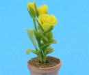 Sm8235 - Vaso con fiori giallo