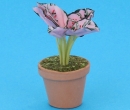 Sm8310 - Vaso con pianta
