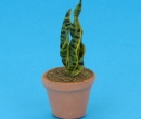 Sm8335 - Vaso con pianta