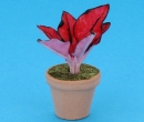 Sm8315 - Vaso con pianta