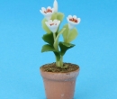 Sm8252 - Vaso di fiori