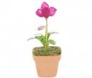Sm8411 - Vaso con orchidea