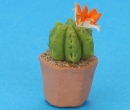 Sm8024 - Cactus