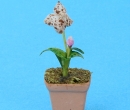 Sm8404 - Vaso con orchidea