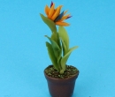 Sm8220 - Vaso con fiori