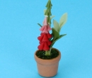 Sb0010 - Vaso con pianta
