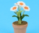 Sm8246 - Vaso con fiori