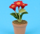 Sm8247 - Vaso di fiori