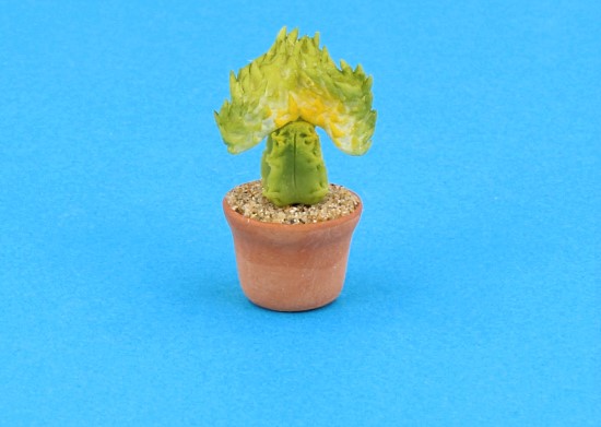 Sm4512 - Cactus