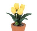 Tc2492 - Vaso con fiori