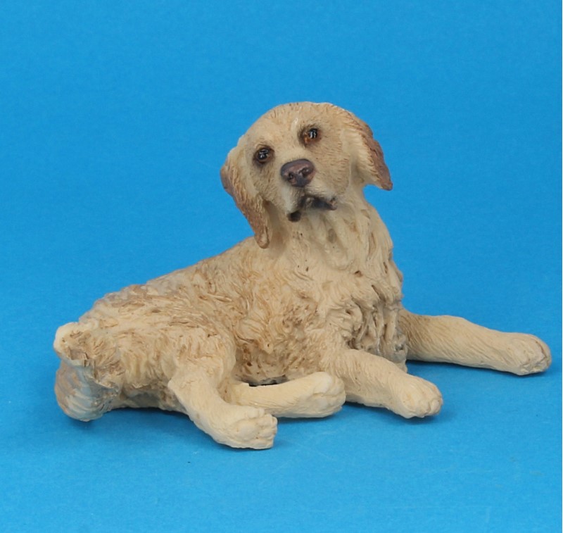 Mb0691 - Golden retriever