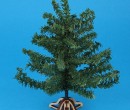 Nv0101 - Christmas Tree