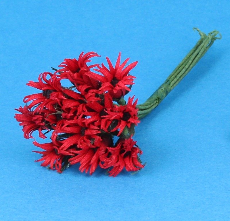 Tc0929 - Rote Blumen