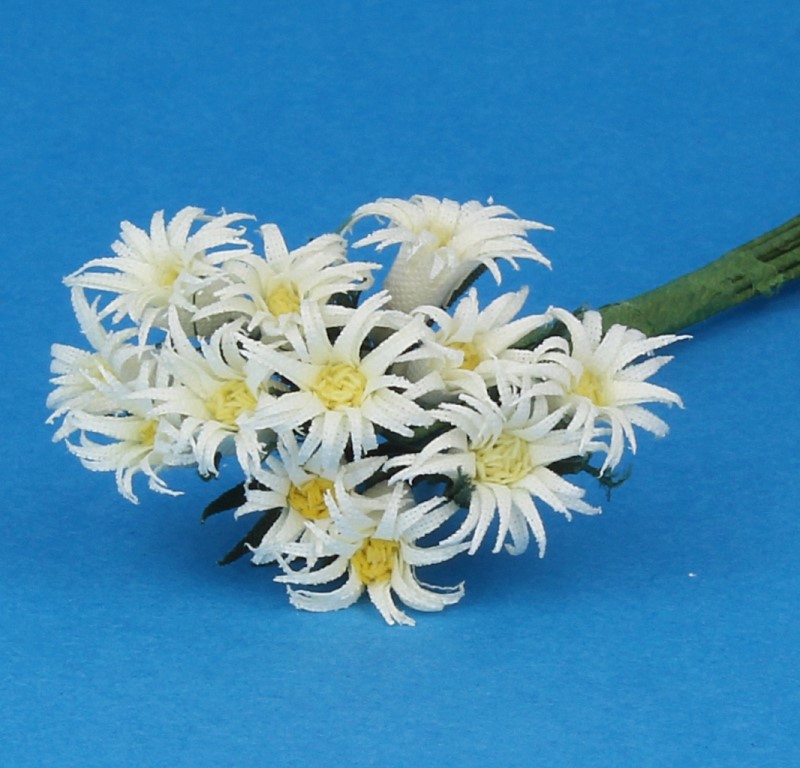 Tc1016 - Blumen