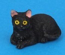 Tc2380 - Schwarze Katze