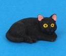 Tc2381 - Schwarze Katze