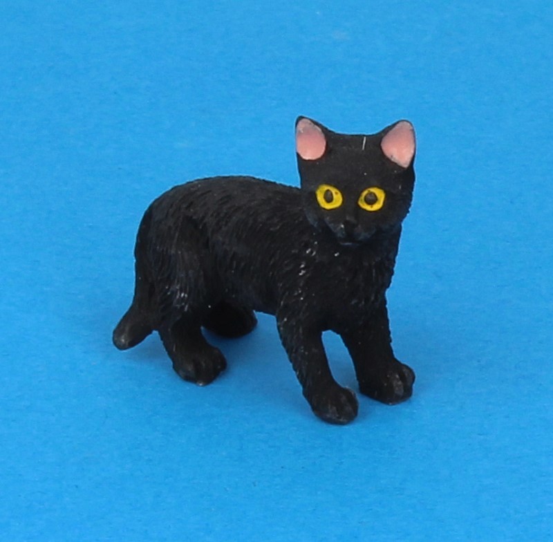 Tc2382 - Chat noir 