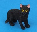 Tc2382 - Schwarze Katze