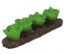 Tc1351 - Lettuce garden