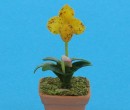 Sm8102 - Vaso con orchidea