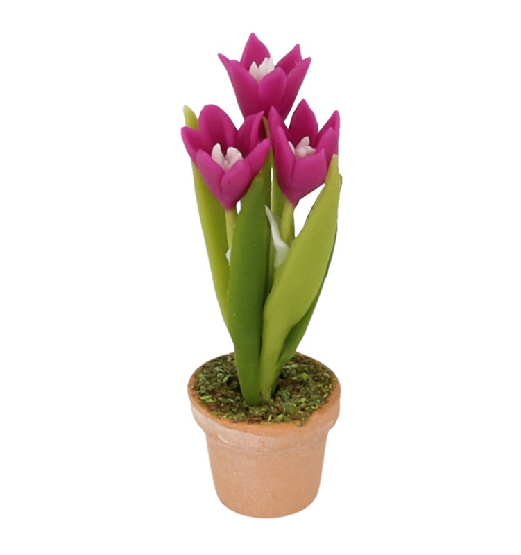 Sm4730 - Vaso con fiori lilla