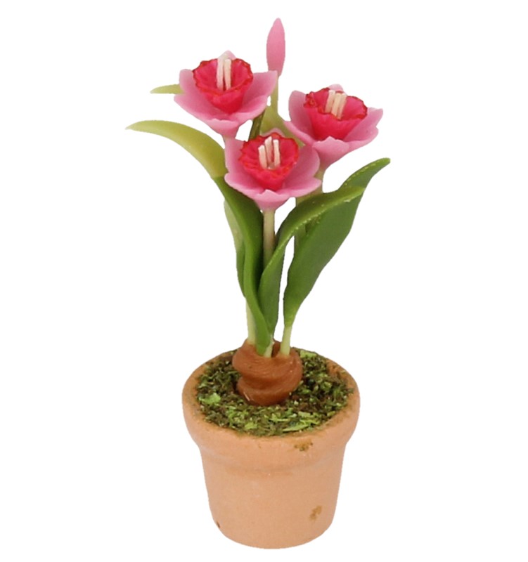 Sm4019 - Pot avec des fleurs