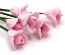 Tc0140 - Pink flowers