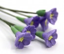 Tc0141 - fiori lilla