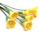 Tc0142 - Sechs gelbe Blumen
