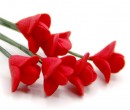 Tc0144 - Fleurs rouges