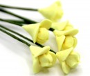 Tc0148 - Fleurs jaune