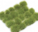 Dr30426 - Green grass
