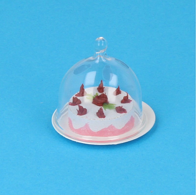 Ou0022 - Cake carrier with cake