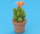Sm4513 - Cactus 