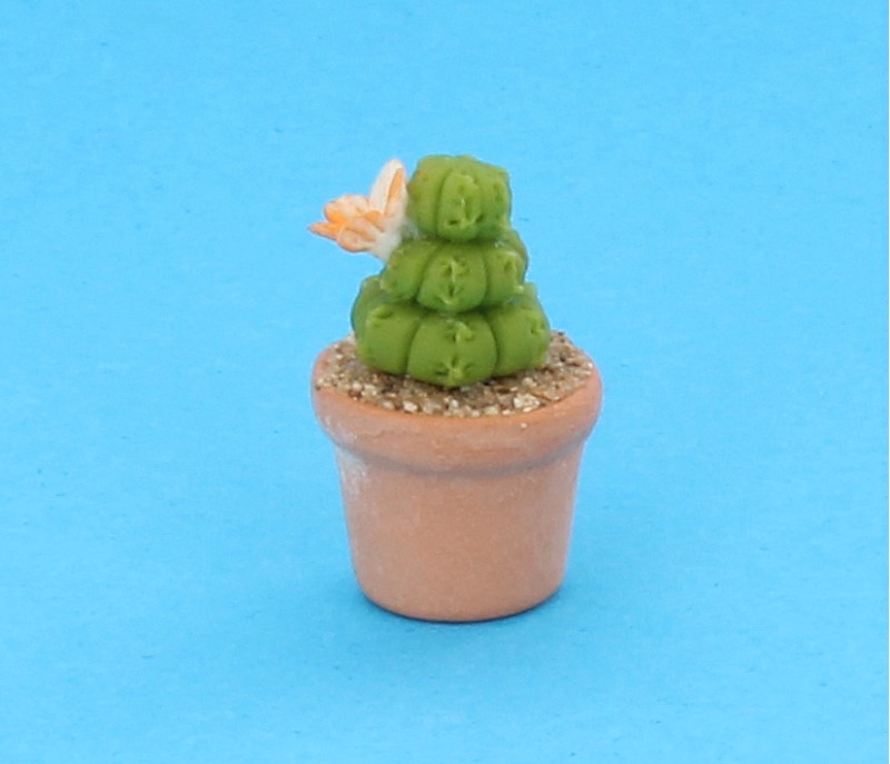 Sm8009 - Cactus