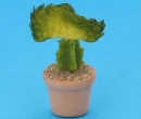 Sm4512 - Cactus 
