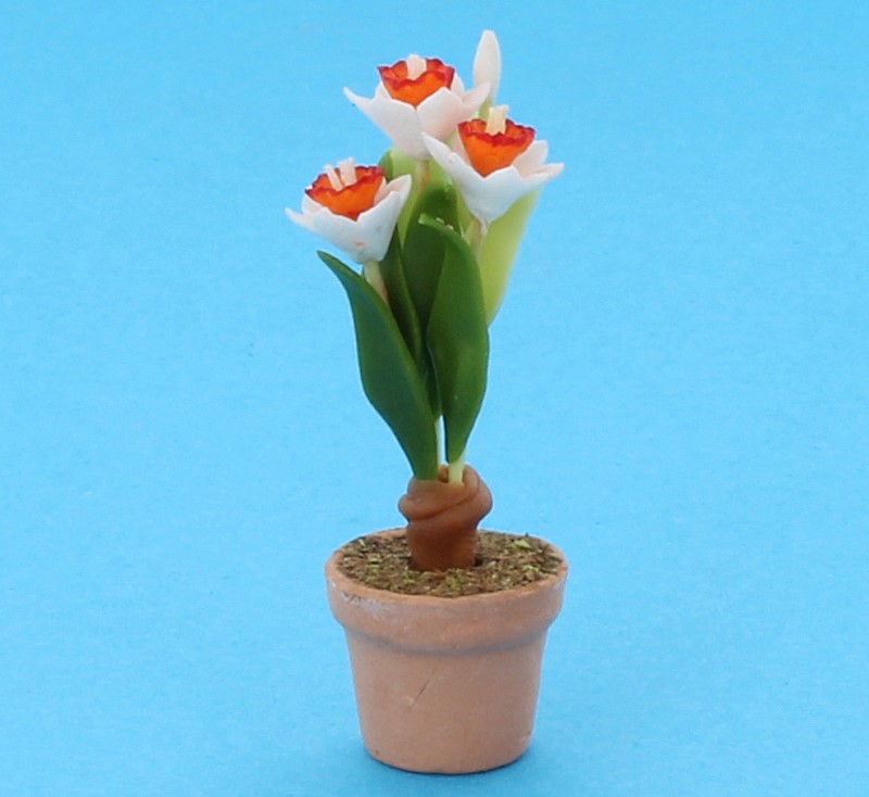Sm4021 - Flower pot