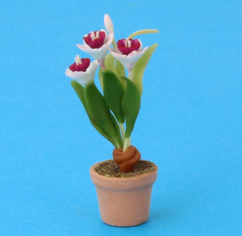 Sm4022 - Flower pot with flowers