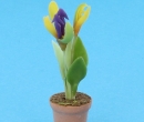 Sm4024 - Flower pot with lilac flowers