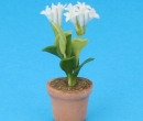 Sm8144 - Vaso di fiori