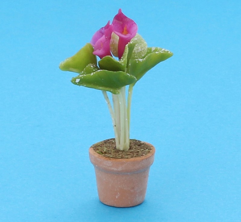 Sm4036 - Pot avec fleurs lilas 