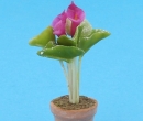 Sm8136 - Vaso con fiori lilla