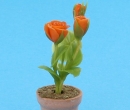 Sm4039 - Flower pot with orange flowers