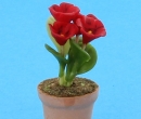 Sm4042 - Flowerpot