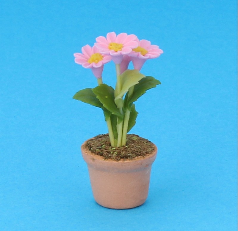 Sm4043 - Flowerpot