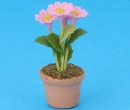 Sm8143 - Pot avec des fleurs 