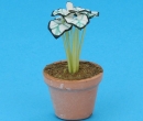 Sm8109 - Vaso con pianta